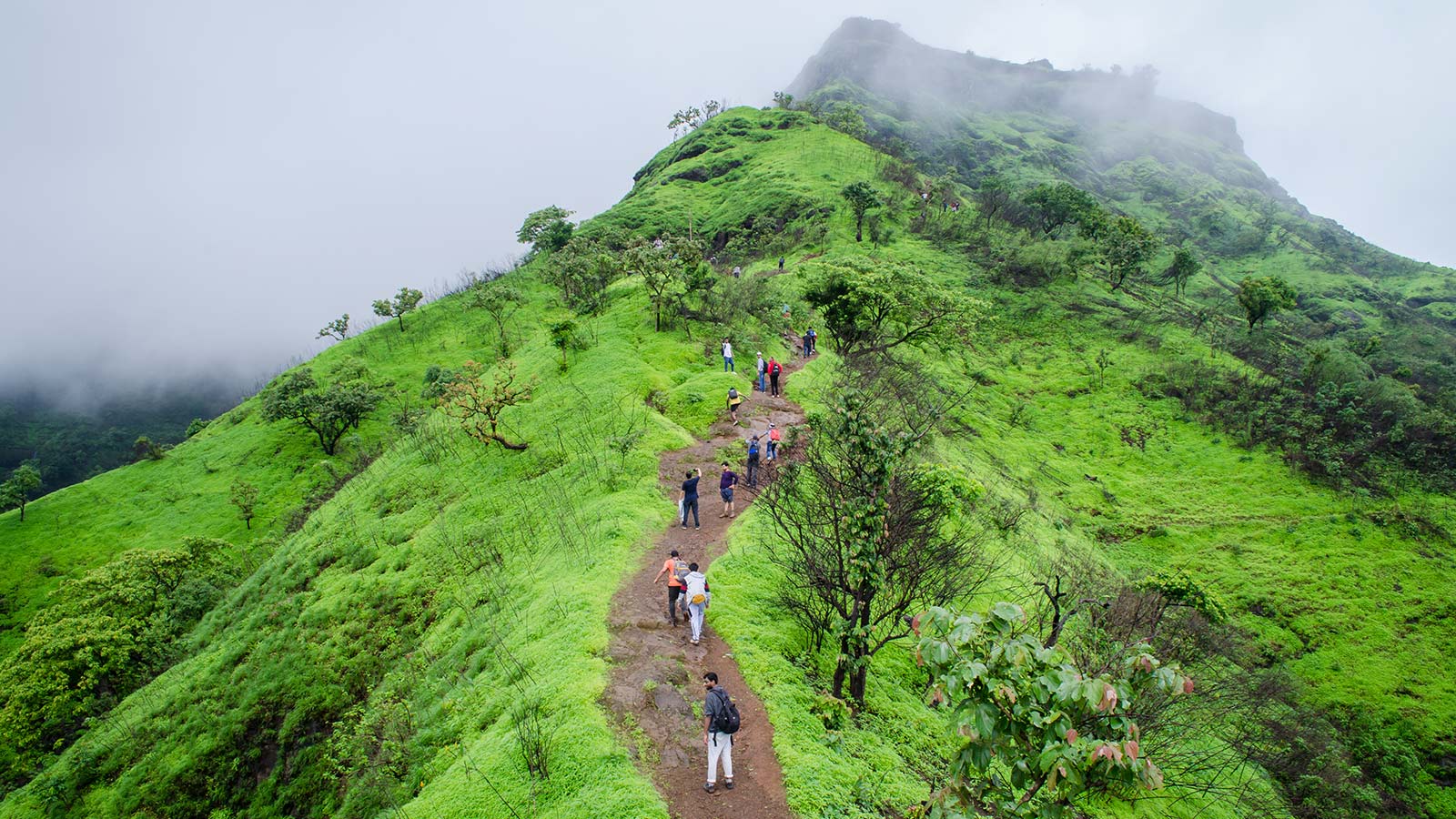 Monsoon Treks